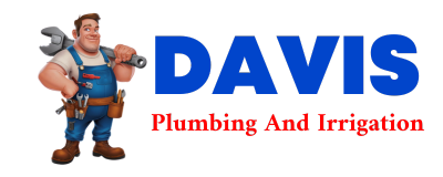 Trusted plumber in SAN ELIZARIO